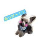 nachi＆futaro.kento（個別スタンプ：3）
