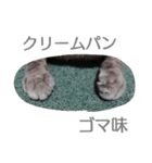 しょうたさんスタンプ（個別スタンプ：12）