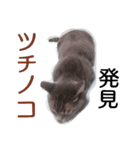 しょうたさんスタンプ（個別スタンプ：13）