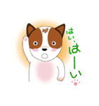 Jack Russell Terrier Kinako_2（個別スタンプ：2）