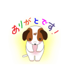 Jack Russell Terrier Kinako_2（個別スタンプ：3）