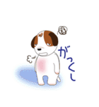 Jack Russell Terrier Kinako_2（個別スタンプ：12）