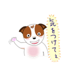 Jack Russell Terrier Kinako_2（個別スタンプ：24）