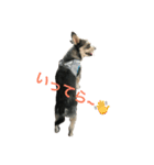エースくん（個別スタンプ：2）