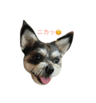 エースくん（個別スタンプ：11）