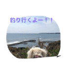 rikisama sanpo（個別スタンプ：15）