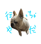 フレブルのがっちゃん（個別スタンプ：2）