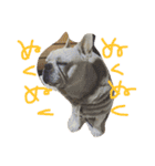 フレブルのがっちゃん（個別スタンプ：6）