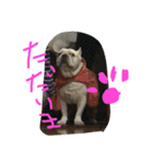 フレブルのがっちゃん（個別スタンプ：14）