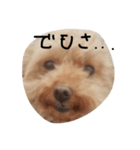 くまお言い訳ワード（個別スタンプ：1）