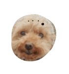 くまお言い訳ワード（個別スタンプ：3）