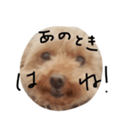くまお言い訳ワード（個別スタンプ：5）
