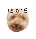 くまお言い訳ワード（個別スタンプ：6）
