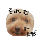 くまお言い訳ワード（個別スタンプ：7）