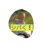 ハル、テルの日常（個別スタンプ：5）