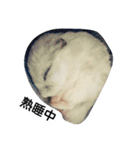 Hamster and Bird No,3（個別スタンプ：1）