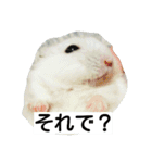 Hamster and Bird No,3（個別スタンプ：2）