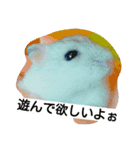 Hamster and Bird No,3（個別スタンプ：3）
