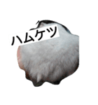 Hamster and Bird No,3（個別スタンプ：6）