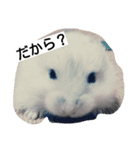 Hamster and Bird No,3（個別スタンプ：7）
