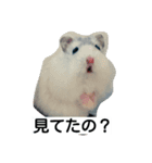 Hamster and Bird No,2（個別スタンプ：2）