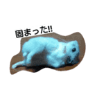 Hamster and Bird No,2（個別スタンプ：4）