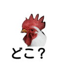 Hamster and Bird No,2（個別スタンプ：5）