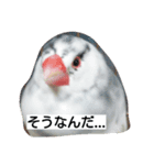 Hamster and Bird No,2（個別スタンプ：8）