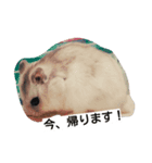 Hamster and Bird No,1（個別スタンプ：6）