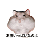 Hamster and Bird No,1（個別スタンプ：7）