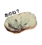 Hamster and Bird No,1（個別スタンプ：8）