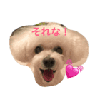 そら日和（個別スタンプ：1）