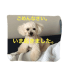そら日和（個別スタンプ：2）
