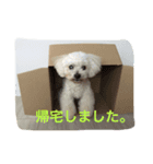 そら日和（個別スタンプ：3）