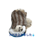 そら日和（個別スタンプ：5）