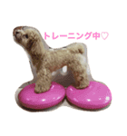 マルプーシュシュくんのスタンプです。（個別スタンプ：14）