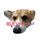 かおる（個別スタンプ：3）