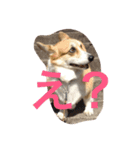 かおる（個別スタンプ：5）