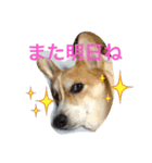 かおる（個別スタンプ：8）