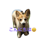 マツレオ（個別スタンプ：4）