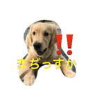 マツレオ（個別スタンプ：9）