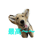 マツレオ（個別スタンプ：10）