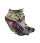 毎日のご挨拶に♡（個別スタンプ：7）