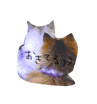 毎日のご挨拶に♡（個別スタンプ：8）