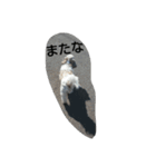 ちぃちゃんず（個別スタンプ：3）