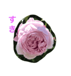 my garden（個別スタンプ：4）