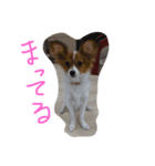 ワンコしゃべる（個別スタンプ：4）