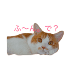 オトくんスタンプ（個別スタンプ：1）