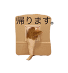 オトくんスタンプ（個別スタンプ：2）