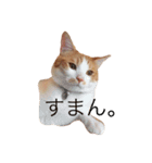 オトくんスタンプ（個別スタンプ：8）